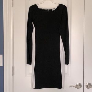 Elliot Lauren long sleeve dress- 4 NEVER WORN